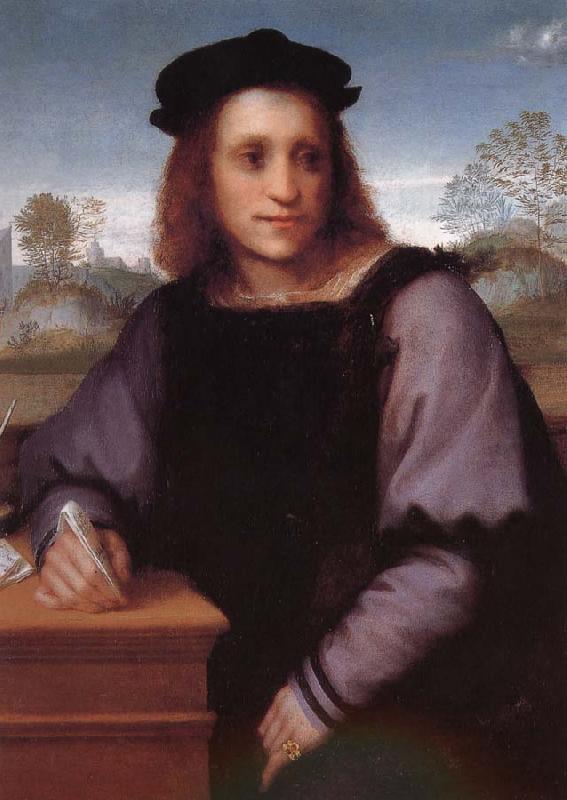 Andrea del Sarto Man portrait oil painting image